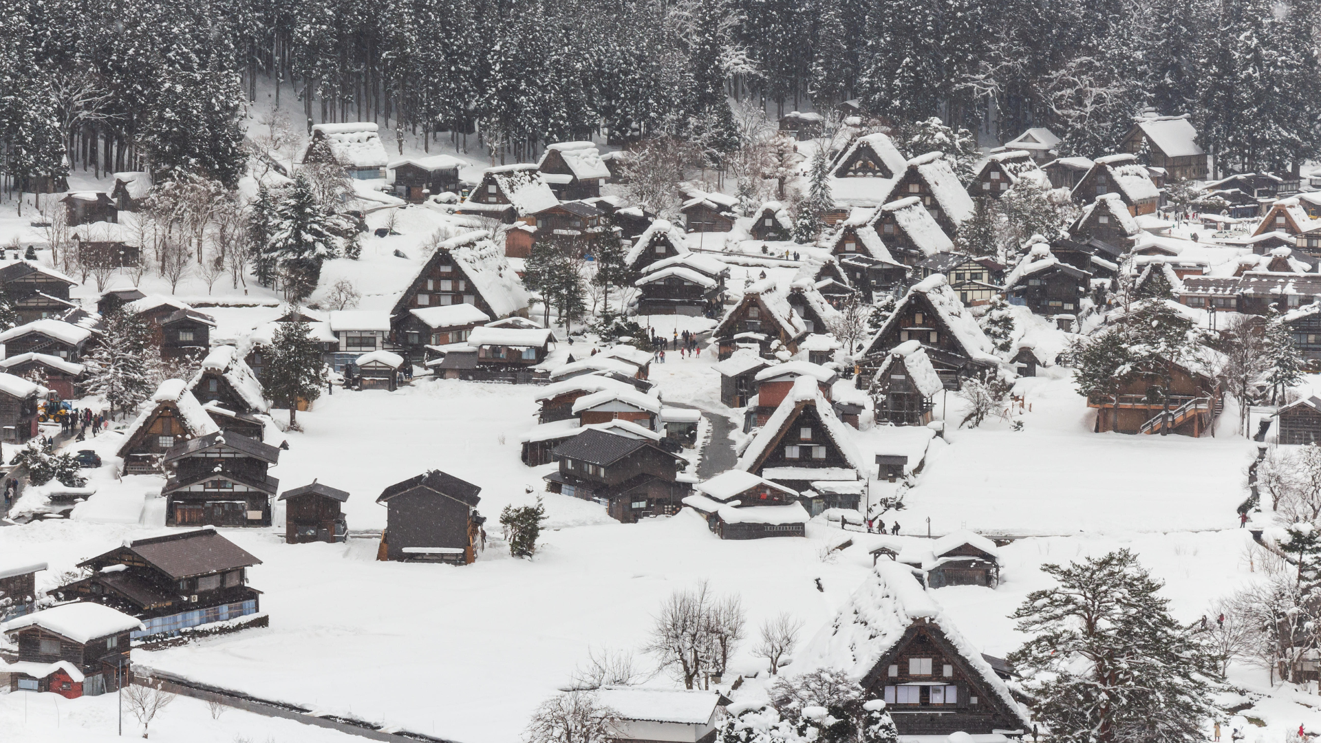 Hành Trình Mùa Thu Nhật Bản – Shirakawago – Kurobe – Phú Sĩ – Tokyo